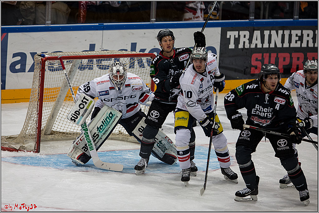 Koelner Haie - Eisbaeren Berlin, 13.11.2016